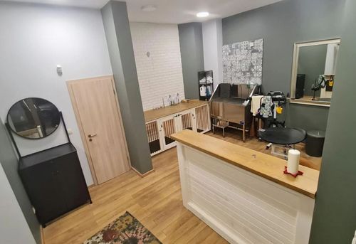 gruming-dog-barber-sofiya-krasno-selo-gallery-image-main