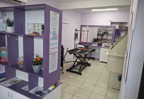 puh-i-lapichka-gruming-salon-sofiya-oborishte-gallery-image-main