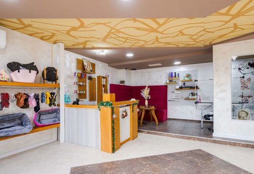 hot-dog-grooming-by-petya-burgas-zornica-gallery-image-main