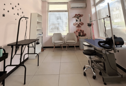crazy-dog-mom-grooming-salon-sofiya-slaviya-gallery-image-main